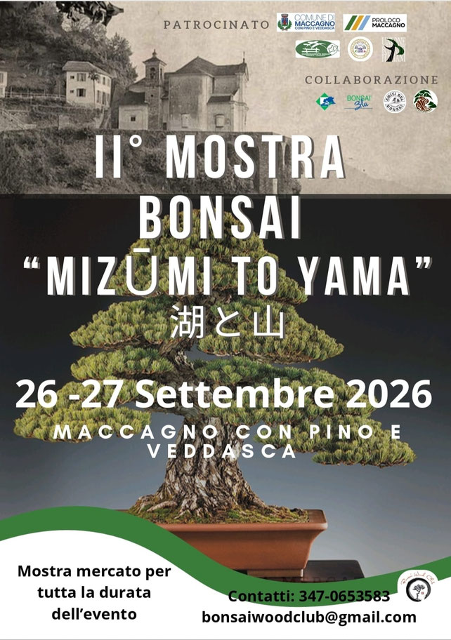II° Mostra Bonsai Mizumi to yama